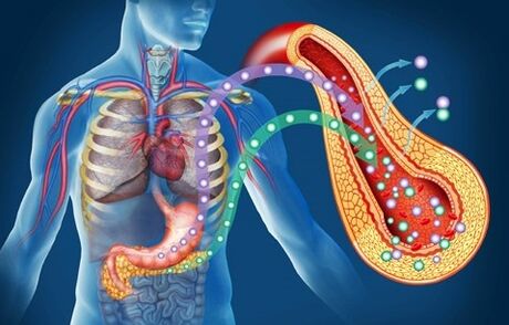 Diaform Plus devolve a sensibilidade á insulina