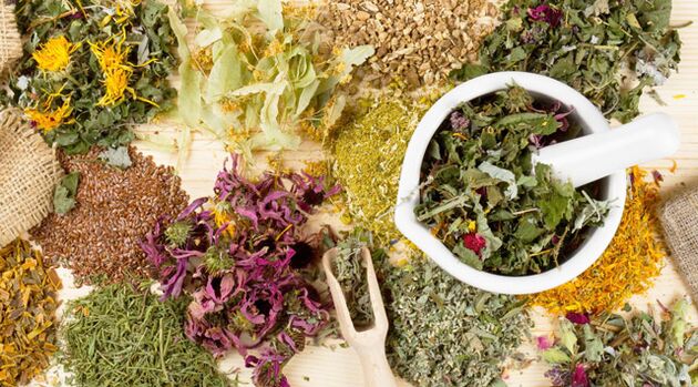 As plantas medicinais axudan a loitar contra a diabetes mellitus